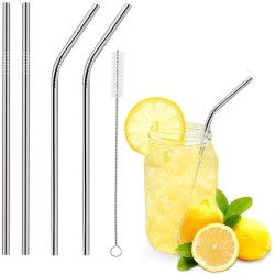 Stainless Steel Drinking Straws (2 Bent + 2 Straight +1 Brush)